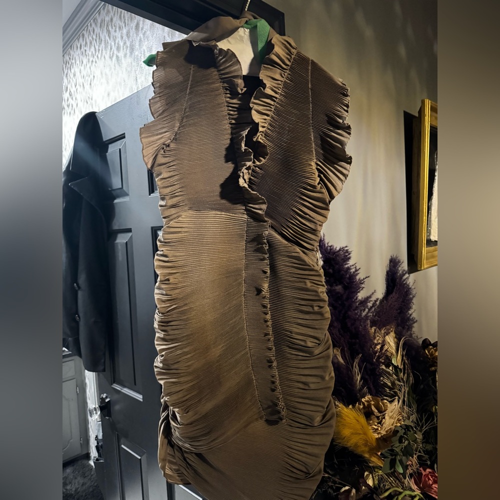 ryu brown dress rouched form fitting